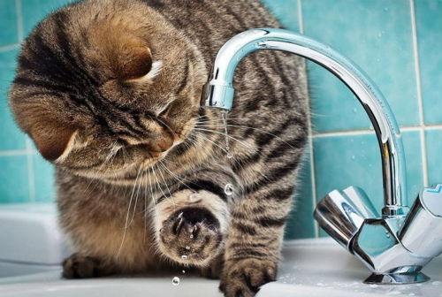 В Кольцово планово отключат горячую воду 