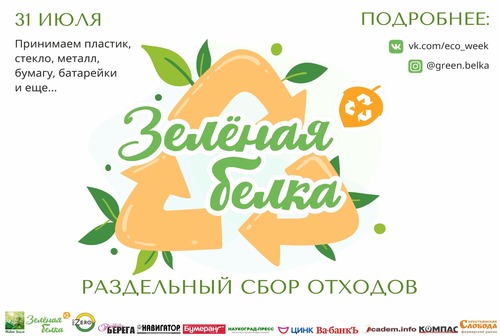 Жаркая июльская белка спешит в Кольцово