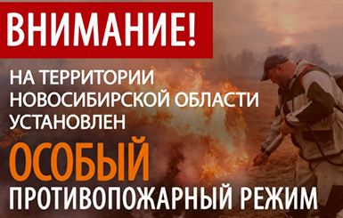 До 15 мая 2026 года на территории Новосибирской области установлен особый противопожарный режим